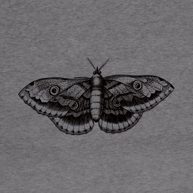 Dramabite Vintage butterfly illustration by dramabite